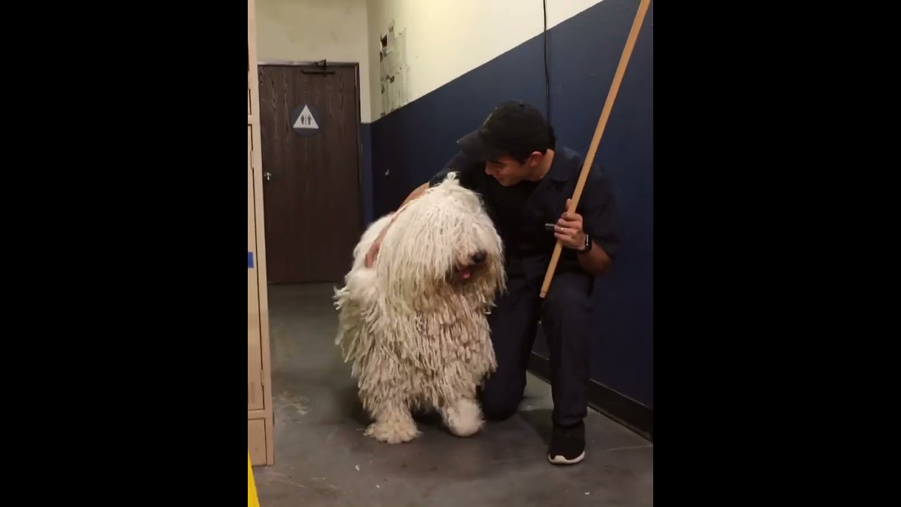 Zach kind and the dog 🐶 magic 