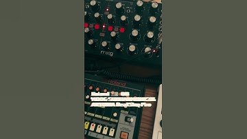 Beatstep double sequence #electronicmusic #electrosound #synth #synthesizer #moog #rolandboutique