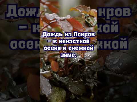 14 октября народные приметы. Приметы 14 октября. 14 октября именины #народныеприметы #приметы
