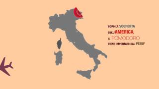 Infografic3 The History of pizza