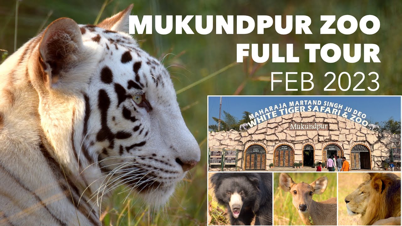 mukundpur tiger safari wikipedia