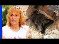 Frightened Dogs Saved From Getting Crushed by Logs | Pit Bulls & Parolees