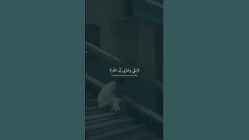 ماهر المعيقلي تلاوة هادئة ❤️✔️