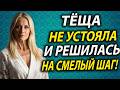10 Лет Тайны Между Зятем и Тёщей — Правда Вскрылась Неожиданно!