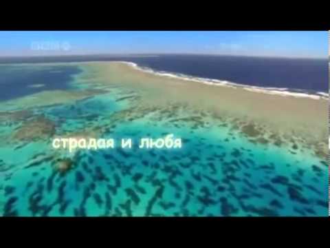 Подарки своим работникам ндфл