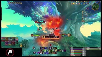 Primal - Tarren Mill Vs. Mythic Tindral Sageswift (BM Hunter POV)