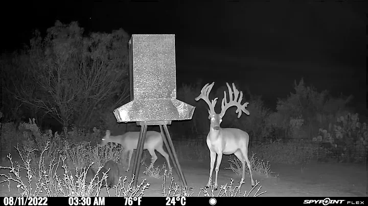 2022 Video Contest - Vernon Carr, Texas