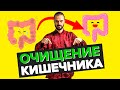 Очищение кишечника - комплекс упражнений. Детокс ЖКТ и организма в домашних условиях.