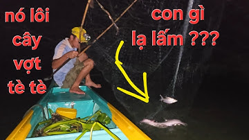 Vợ chồng hoảng hồn khi vớt dính loài cá này trong đêm. 1 dạo cá Kỷ lục | Săn bắt SÓC TRĂNG |