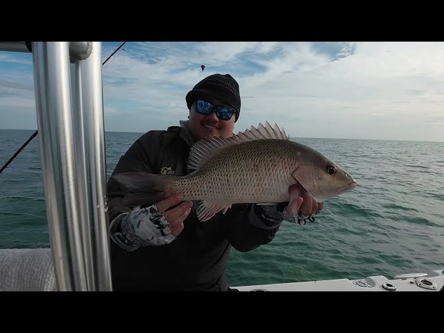 How to Catch Speckled Trout - Top Three Artificial Lures 