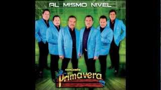 Video thumbnail of "Al Mismo Nivel - Conjunto Primavera"