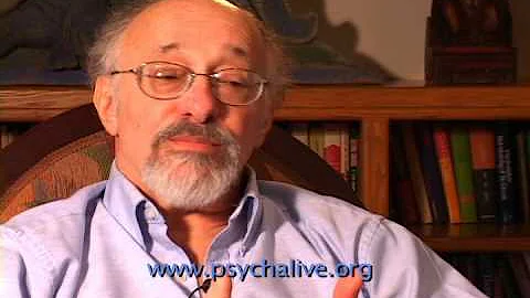 Dr. Allan Schore on the physiological impact of di...