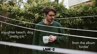 Slaughter Beach Dog - Pretty Ok