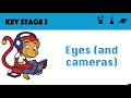 Understanding the Eye and Vision