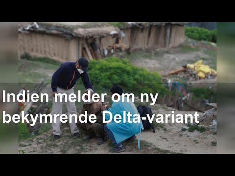 Video: 11 Bedste øjenbrynpulver (anmeldelser) I Indien - 2020-opdatering