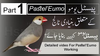 PASTEL EUMO JAVA SPARROW WORKING (Urdu Language) part 1