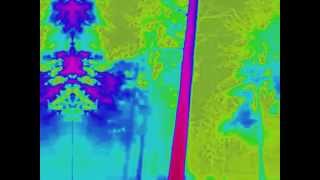 Mahala Raï Banda (Bucovina Dub)