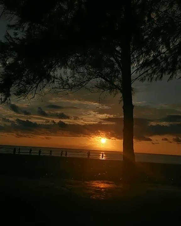 Story WA Tepi Pantai Sore Hari