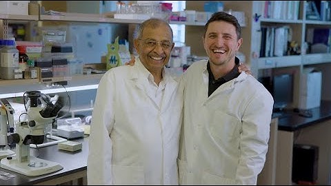 A Legacy of Innovation: Celebrating 8 Years of Shingrix