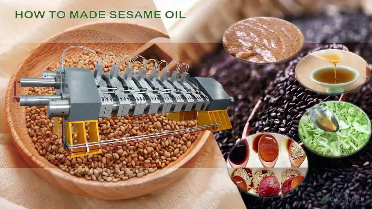 how to processing sesame oil,extract sesame oil operation tutorial,oil