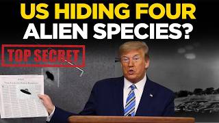 UFO Files Hearing LIVE | Ex-UFO Investigator Alleges US Recovered Multiple Alien Bodies | World News