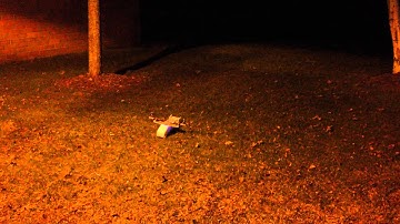 First flight of the foam board bicopter
