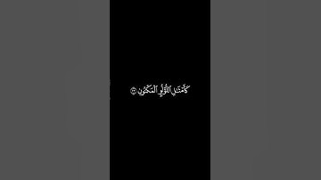 وحور عين || كرومات شاشة سوداء || القارئ عمير شميم