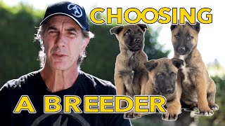 Choosing a Breeder for Your PUPPY