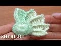 How To Crochet 3D Wing Pattern Урок 10 часть 1 из 2 Вязание крючком элемента