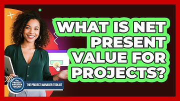 What Is Net Present Value For Projects?