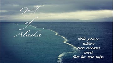 Gulf of Alaska || Where Two Oceans Meet But Never Mix! #14