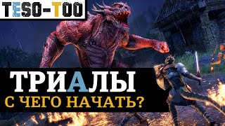 ТРИАЛЫ в ESO: Сложность и старт для новичка. Сокращения и рейдовый сленг в испытаниях. TESO(2023)