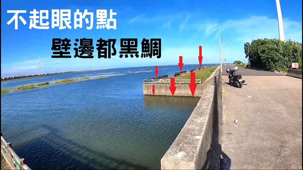 原來這邊黑鯛這麼多~舒適安全又有魚-Fishing port fishing-塭寮漁港
