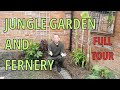 Jungle garden and fernery tour uk