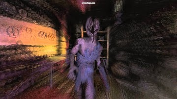 Amnesia: The Dark Descent, Brute attack.