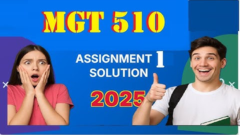 mgt 510 assignment 1 solution fall 2025