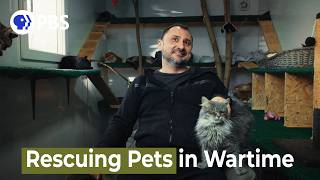 Rescuing Pets in Wartime