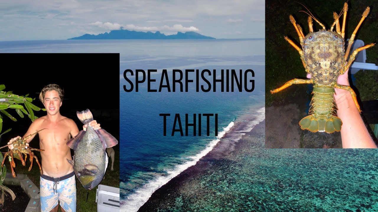 Spearfishing Tahiti YouTube