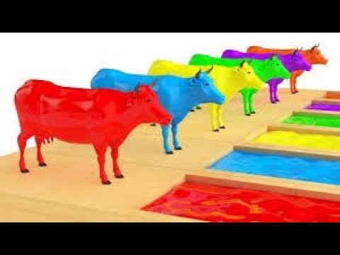 تعليم الألوان للأطفال والبقرة الملونة