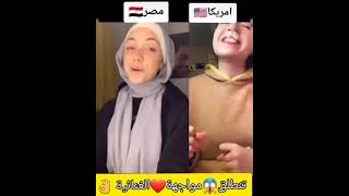 tasneemelaidy vs voice America 🔥❤ مصر ضد أمريكا تسنيم لايدي