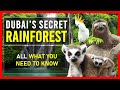 Green Planet Dubai | City Walk | DUBAI'S SECRET RAINFOREST | Dubai Tourist Attractions