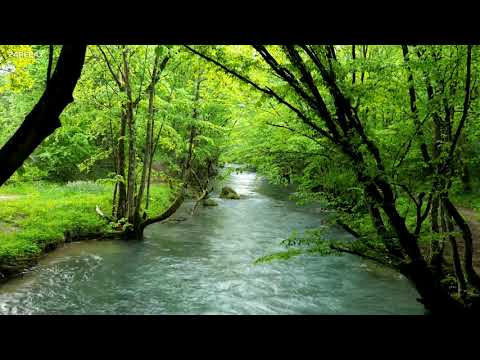 سورة الأنفال عبد الباسط عبد الصمد سورة الأنفال عبد الباسط عبد الصمد