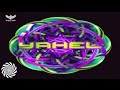 Yahel  invisible reality  hidden energy