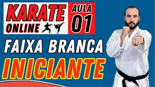 KARATE ONLINE | Aula 01 [ Iniciantes ] GUARDA DE LUTA - POSTURA DE BASE - SOCO - CHUTE FRONTAL