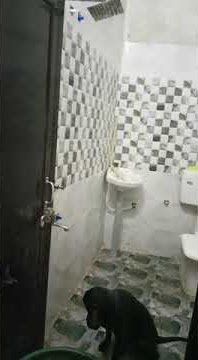 jake mera naha raha hai shower ma