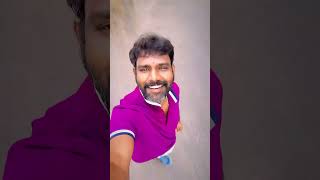 Memories With Tiger   aruntraveldiaries