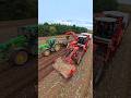 Potato Harvest with Thoresby Farming