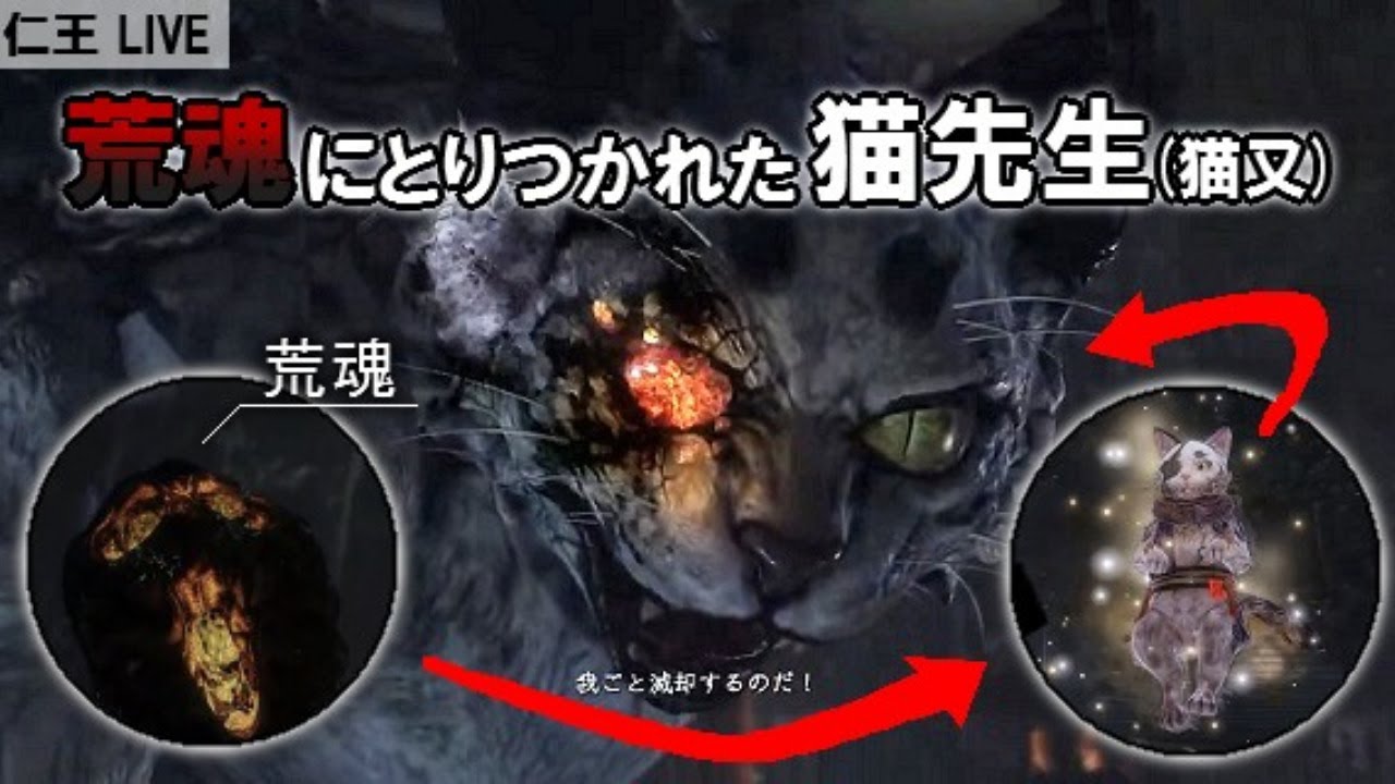 【仁王】猫先生の勇姿に涙 - YouTube
