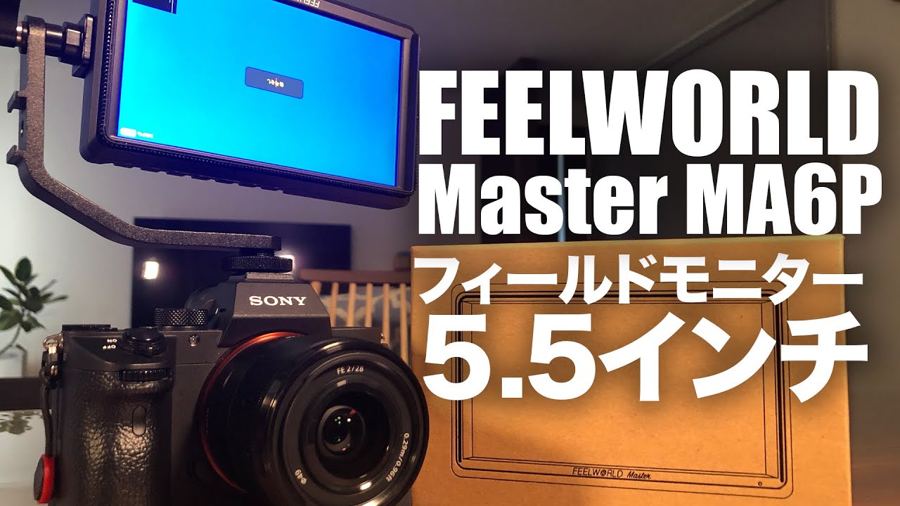 First Impressions and Initial Setup of a Camera Monitor for the