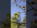 Время бежит. И мы вслед за ним. #nomusic #spring #nature #people